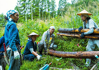 環境保護活動の支援