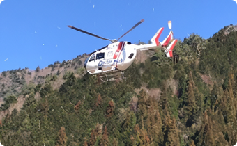 Contribution to Regional Healthcare